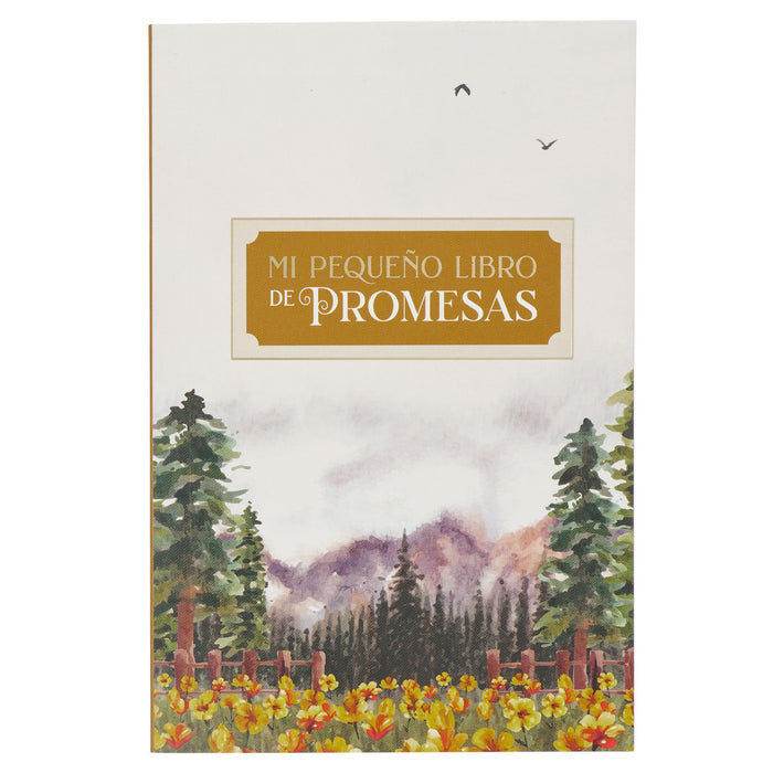 Mi pequeño libro de promesas