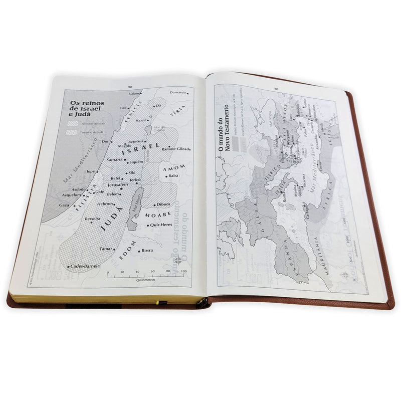 Biblia trilingüe, Portugués English Español, tapa flexible