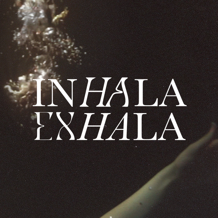 Nueva canción inhala/ exhala