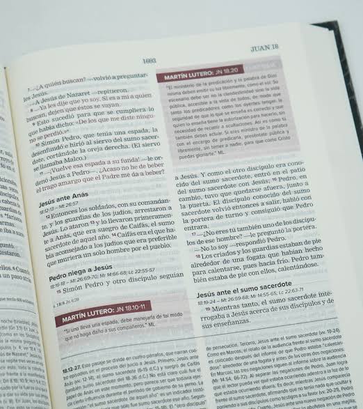 Biblia de estudio nueva reforma, tapa dura - NVI