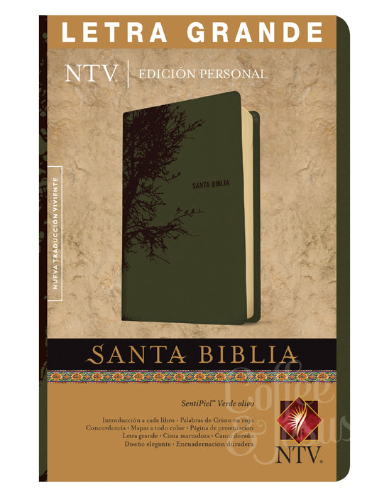Biblia edición personal, letra grande verde oliva - NTV