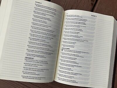 The Message Scribe Bible, brown leather-Soft