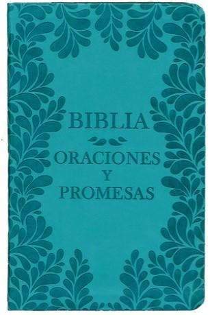 Biblia oraciones y promesas - NVI