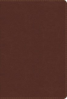 Biblia de estudio arco íris chocolate símil piel - RVR 1960