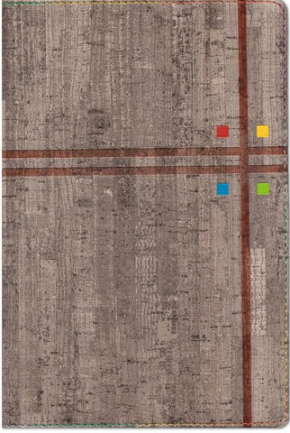 Biblia de estudio arco iris gris pizarra- RVR 1960