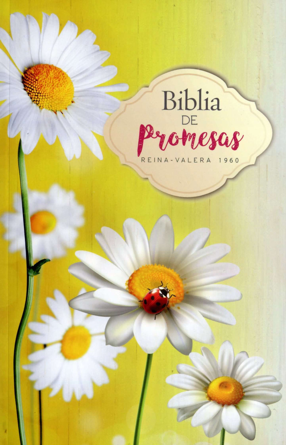 Biblia de promesas, económica - RVR 1960