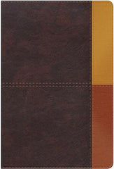 Biblia de estudio arco iris cocoa - RVR 1960