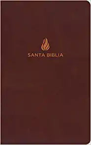 Biblia Ultrafina - NVI  marrón piel fabricada con índice