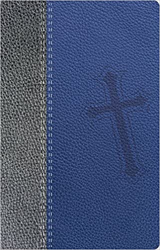 Biblia de Promesas Juvenil Imitación Piel- NTV