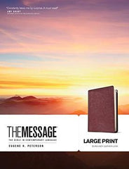 Biblia The Message Marrón