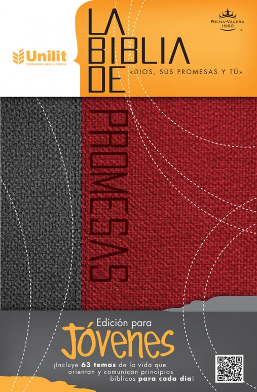 Biblia de promesas para jóvenes, roja y gris - RVR 1960