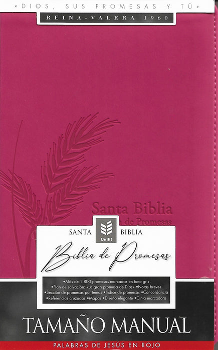 Biblia de promesas, tamaño manual - RVR 1960