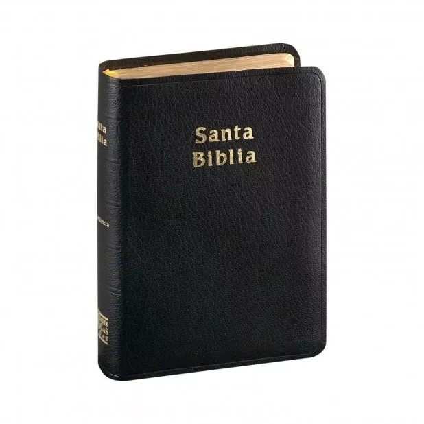 Biblia compacta, imitación piel negro - RVR 1960