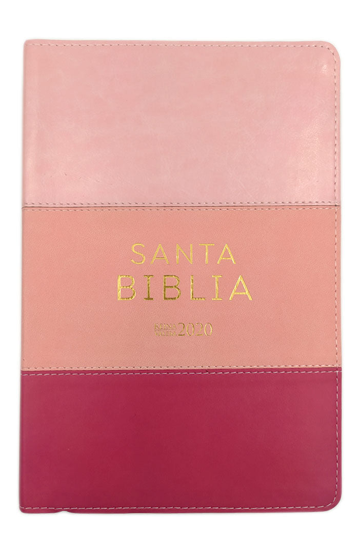 Biblia RVR 2020 / Tricolor rosa