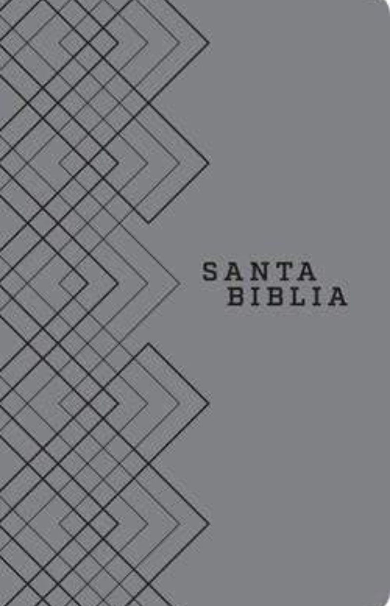 Biblia edición ágape, gris - NTV