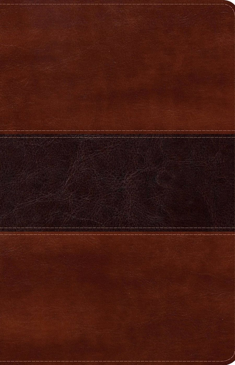 Biblia del pescador, letra grande caoba símil piel - NVI