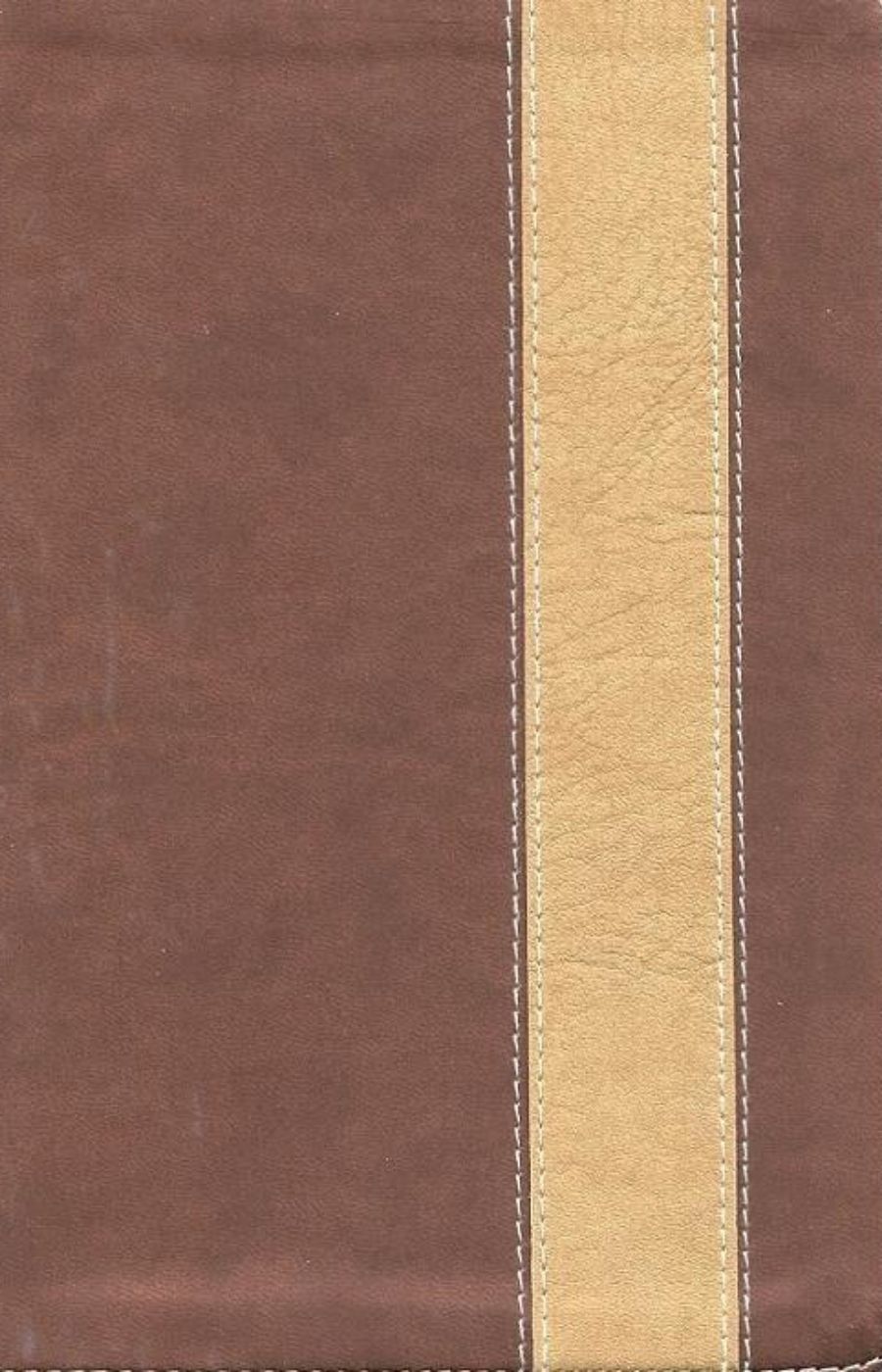 Biblia edición especial con referencias, bronce - RVR 1960