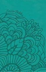 Biblia letra grande, tamaño manual, aqua con indice - NVI