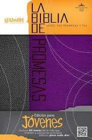 Biblia de promesas para jóvenes, morada y gris - RVR 1960