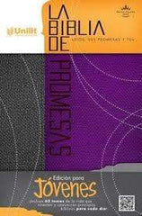 Biblia de promesas para jóvenes, morada y gris - RVR 1960