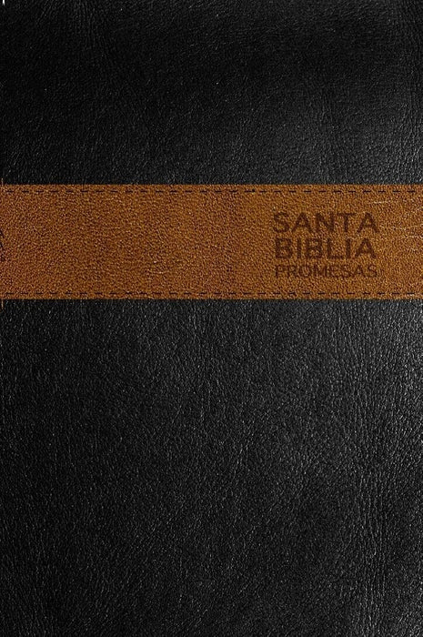 Santa Biblia promesas negro & café - NTV